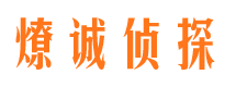 江阳市侦探调查公司